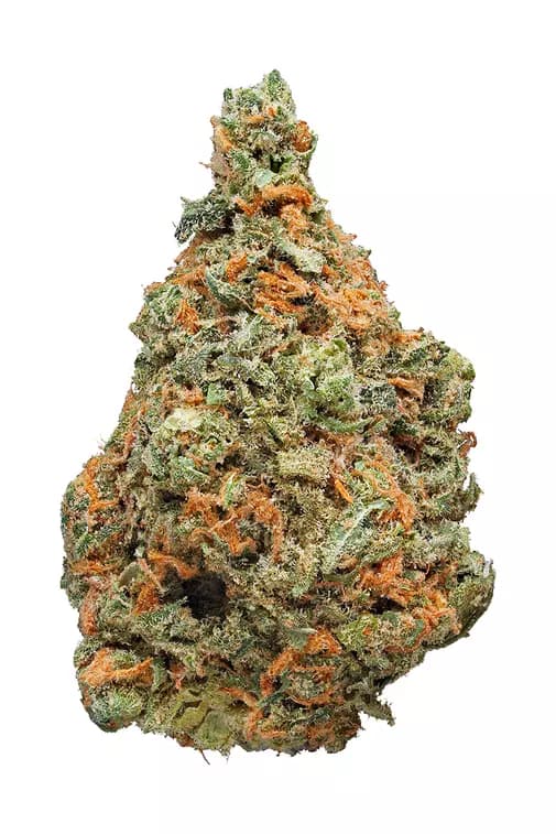GREEN DREAM